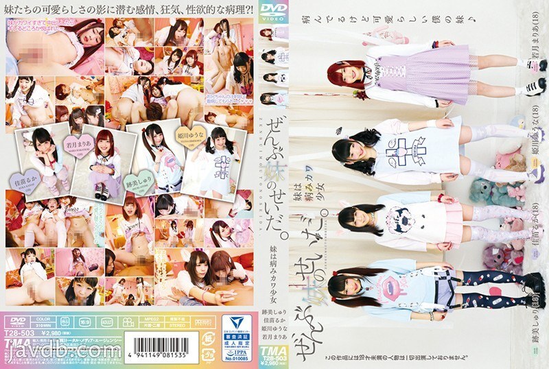 T28-503 都是姐姐的错。 ~ 我的妹妹是个生病的卡瓦女孩~ - 佳苗瑠华
